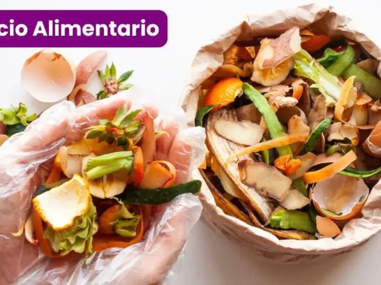 Guisos seguros vs. guisos problemáticos: : qué puede comer tu intestino sin declararte la guerra