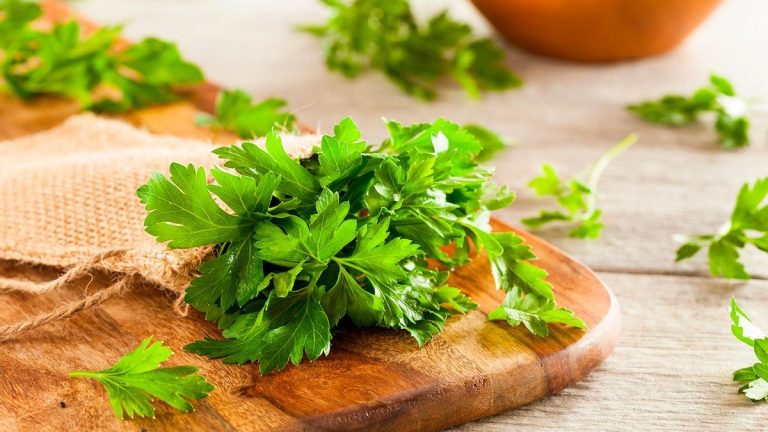 El perejil es venenoso? lo que debes saber sobre su toxicidad